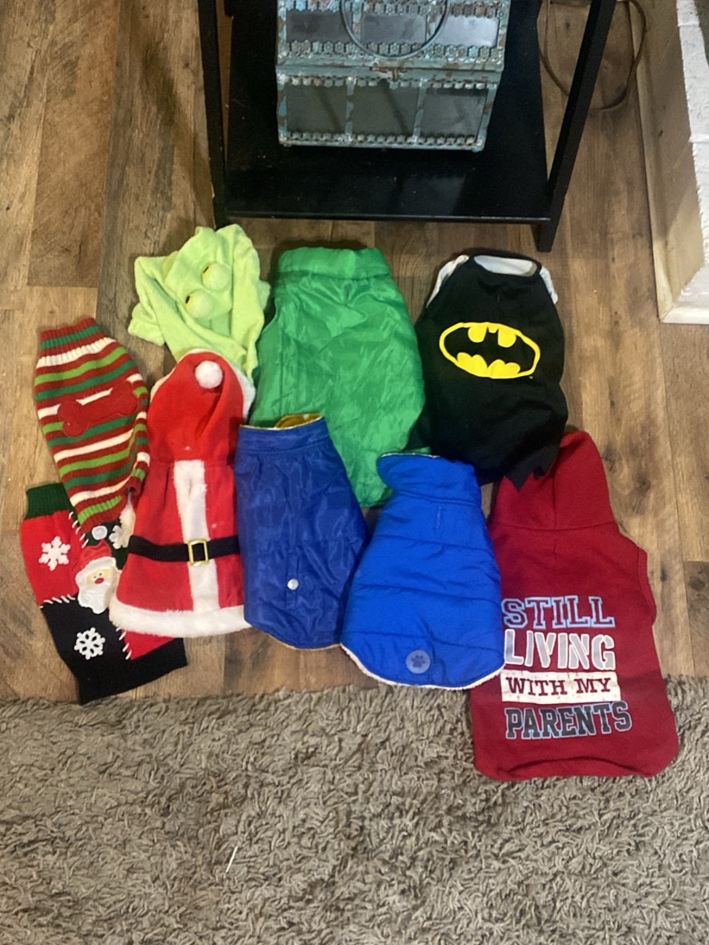 Small Dog Clothes Bundle – Size Small